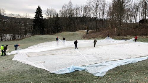 Frostig golfbana. Ett antal personer lägger på en stor vit plastduk över en green.  