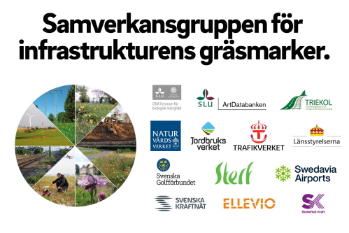 Texten Samverkansgruppen för infrastrukturens gräsmarker, en rund bild på olika typer av gräsmark samt logotyper på alla deltagande organisationer i gruppen. 