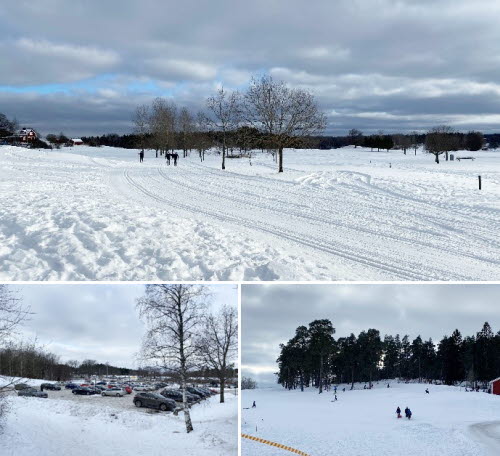 Collage över snötäckt golfbana där människor åker skidor och pulka. På parkeringen är det nästan fullt. 