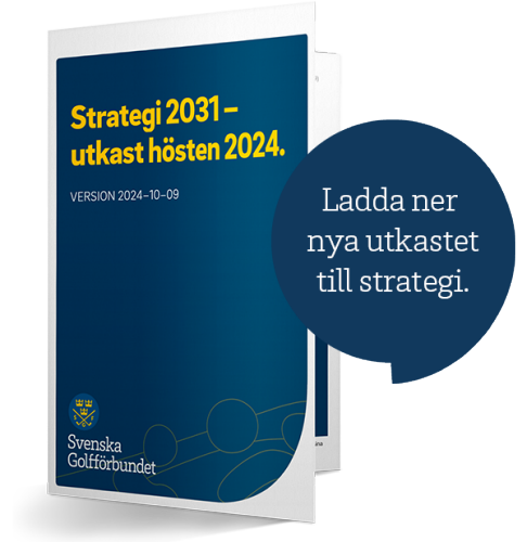 Framsida på skrift med texten Strategi 2031 - utkast hösten 2024. 