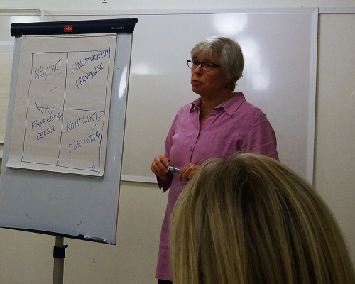Processledaren för Vision 50/50, Eva Amundsdotter, presenterar teorin om förändringens fyra rum under workshop tre med pilotklubbarna. 