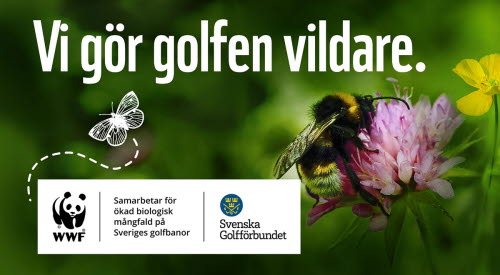 Kampanjbild för "Vi gör golfen vildare". En humla på en rödklöver i bakgrunden. Ovanpå det en logotyp för WWF och Svenska Golfförbundet som samarbetar för ökad biologisk mångfald på Sveriges golfanläggningar. 