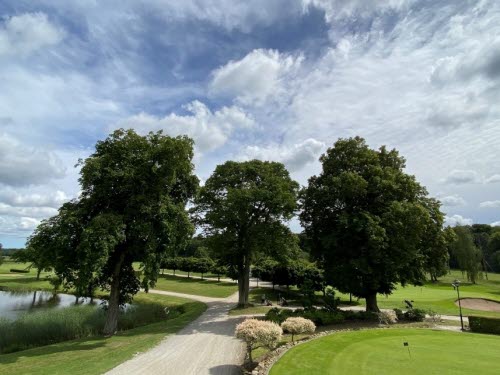 Utsikt över golfbana, tre stora lövträd och blå himmel med sommarmoln. 