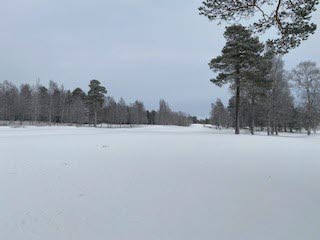En bild på Umeå GK:s bana täckt av snö.