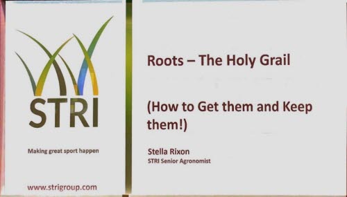 Startbild till ett banskötselseminarium om "Roots - the holy grail"