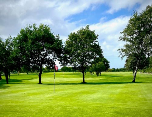 Golfgreen med flagga. I bakgrunden några lövträd och resten av golfbanan. Blå himmel och sommardag. 