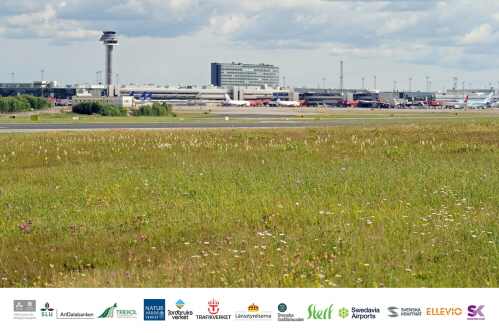 Blomsteräng intill flygplats. Undertill logotyper för deltagande organisationer i Samverkansgruppen för infrastrukturens gräsmarker. 